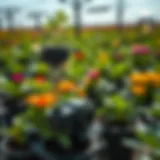 Detailed components of the Floraflex Auto Watering System