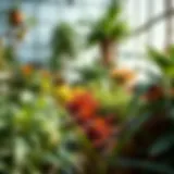 Vibrant indoor garden with optimal humidity levels