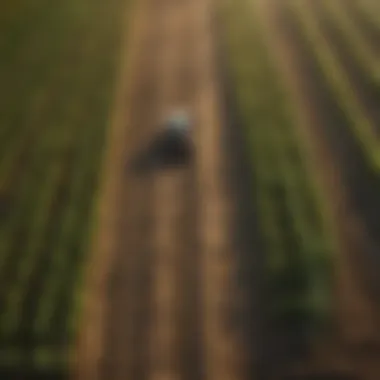 How Flowcharts Enhance Agronomy Practices Impact of flowcharts on agronomy practices