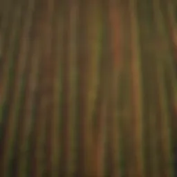 Aerial view of diverse agricultural fields in Africa showcasing various crops.
