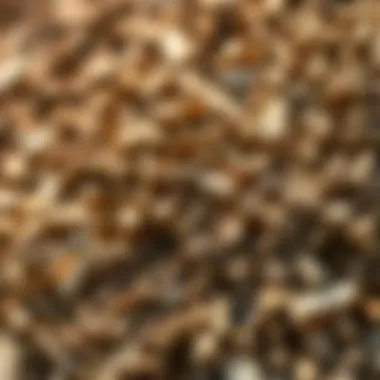 A close-up of wood chips, highlighting potential uses and value