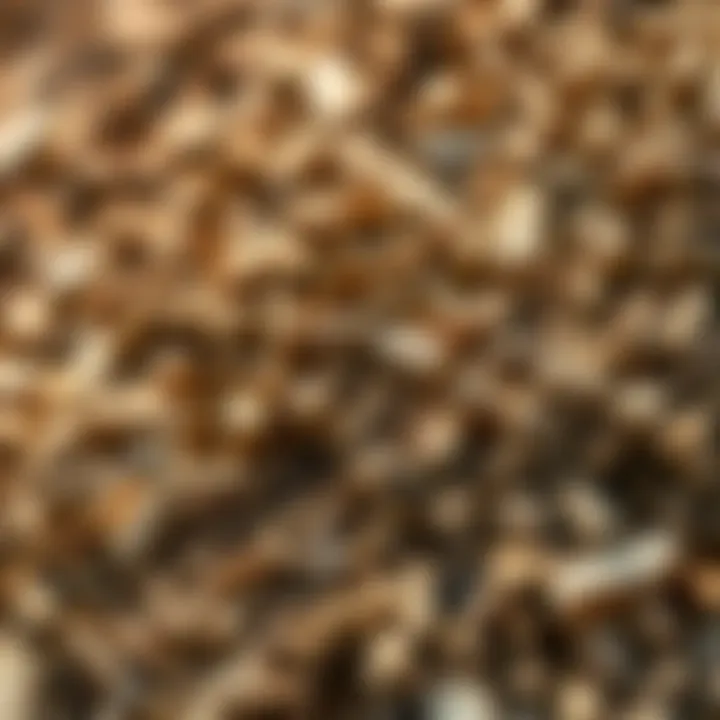 A close-up of wood chips, highlighting potential uses and value