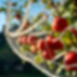 Different types of netting for fruit trees