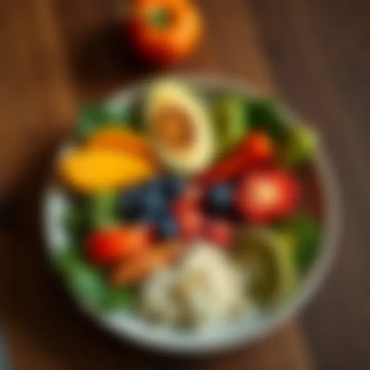 Balanced plate showcasing macronutrient distribution