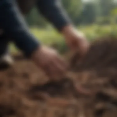 Soil health demonstration with rich compost and earthworms