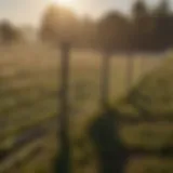 Solar-powered fencing system in agricultural field