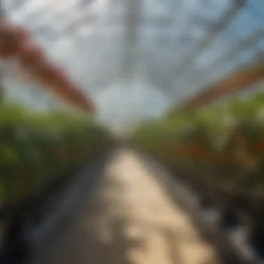 Optimizing Growth in Greenhouses Pulse Pro Grow Monitor installed in a greenhouse environment