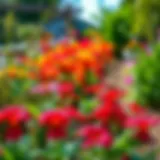 A beautifully leveled garden showcasing vibrant flowers and lush greenery