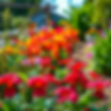 A beautifully leveled garden showcasing vibrant flowers and lush greenery