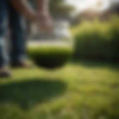 Chemical Solutions for Crabgrass Control Chemical solutions for crabgrass control