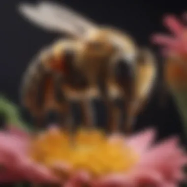 Bee Pollinating a Flower A close-up of a bee pollinating a vibrant flower