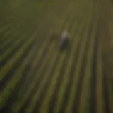 Aerial view of a diverse agricultural landscape showcasing various crops.