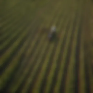 Aerial view of a diverse agricultural landscape showcasing various crops.