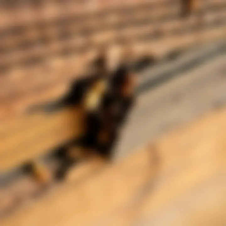 Close-up of termite damage in wooden beams