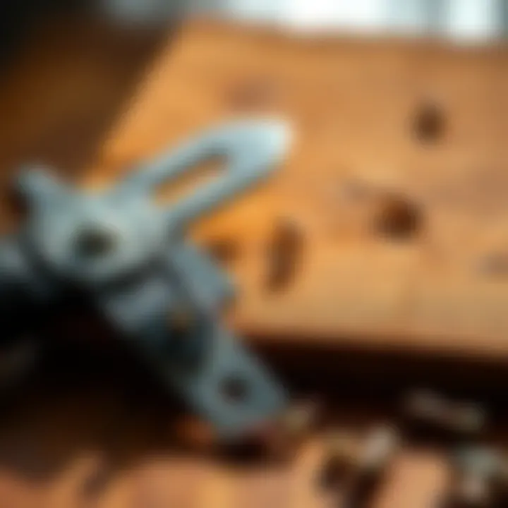 Infestation identification tools for wood