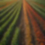 Diverse crops in a vibrant agricultural field