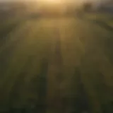 Aerial view of Delaware farmland showcasing diverse crops