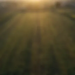 Aerial view of Delaware farmland showcasing diverse crops