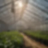 Different types of greenhouse shade tarps in various settings