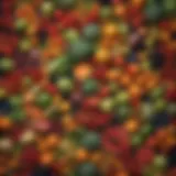 Colorful assortment of fruits and vegetables showcasing a balanced diet