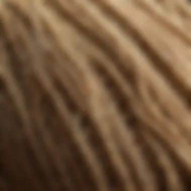 Natural Texture of Hemp Fibers Close-up of hemp fibers showcasing natural texture