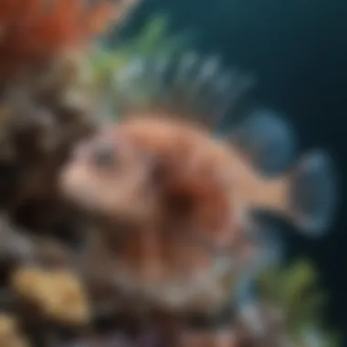 Lionfish in Coral Reef Ecosystem Illustration of lionfish in its natural habitat