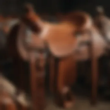 Various types of ranch horse saddles displayed together