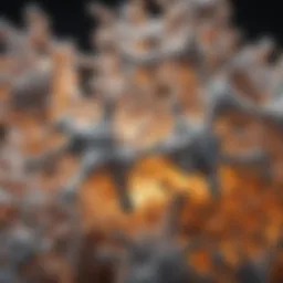 Chemical structure of silica dioxide