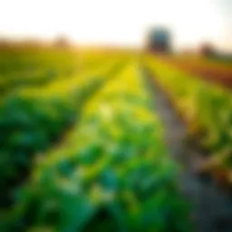 Understanding Texas Farm Grants: A Comprehensive Guide Introduction