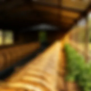 Notable Understanding Texas Farm Grants: A Comprehensive Guide Notable Understanding Texas Farm Grants: A Comprehensive Guide