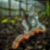 Understanding the Anaerobic Process in Wastewater Treatment Introduction