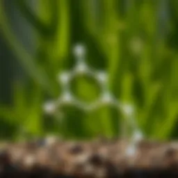 Chemical structure of glyphosate