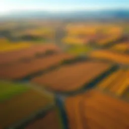 Overview of Valley Center landscape showing diverse agricultural fields