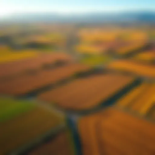 Diverse Agricultural Fields in Valley Center Overview of Valley Center landscape showing diverse agricultural fields