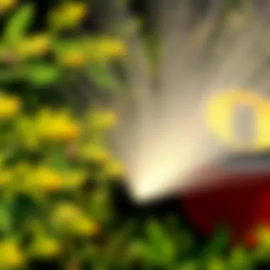 Effective Herbicide Application Techniques Proper application techniques for herbicides