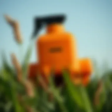 Notable Weed Killer Safe for Humans: A Comprehensive Exploration